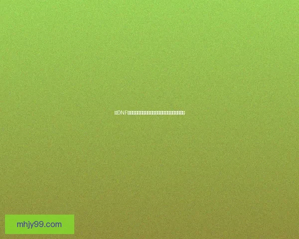 以DNF兰总为核心揭示游戏更新背后的策略与玩家反馈机制